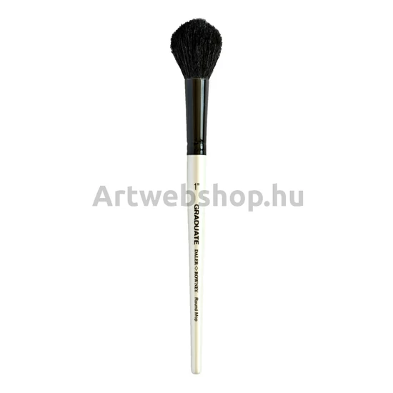 Daler-Rowney Graduate Ecset (188)